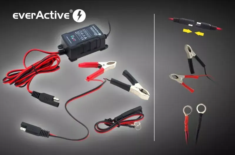 Battery charger everActive CBC-1 6–12 V 1 A Photo 3