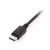 DisplayPort Cable Equip 3m Photo 2