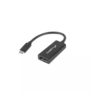 Video Cable Adapter Lanberg AD-UC-DP-01