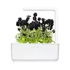 Refill Click & Grow BLACK PANSY PLANT PODS Photo 2