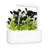 Refill Click & Grow BLACK PANSY PLANT PODS Photo 3