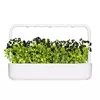 Refill Click & Grow BLACK PANSY PLANT PODS Photo 4