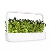 Refill Click & Grow BLACK PANSY PLANT PODS Photo 5