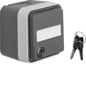 Выключатель berker 47393505 серый, IP55, 76×76 мм, 250 В