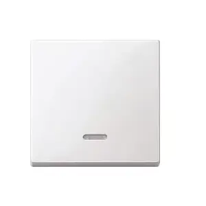 Light switch Merten 436019 — thermoplastic white, button control, single-gang