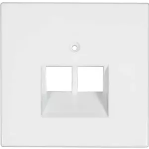 Jung wall plate cover for UAE/IAE/ISDN socket LS 990 LS design LS plus Alpinweiß LS969-2 UA WW