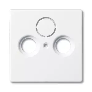 Wall plate / switch cover Busch-Jaeger 1743-84 White, 63×63 mm, conventional design