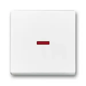 Wall plate/switch cover Busch-Jaeger 1751-0-2814 White, 63×63 mm