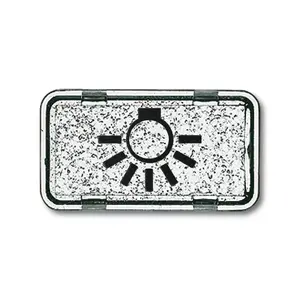 Wall-mounted switch socket cover, Busch-Jaeger 2622 LI-101, transparent, IP44 protection
