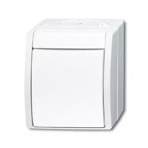 Gaismas slēdzis Busch-Jaeger 1484-0-0380, balts, pogu vadība, IP44, 74×83×55 mm, 250 V 10 A