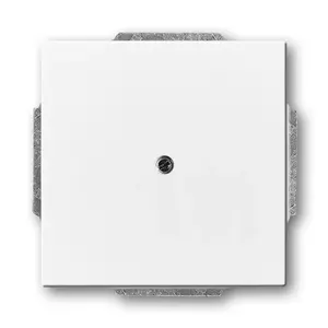Wall plate / switch cover Busch-Jaeger 1710-0-3161, white, conventional design, 63×63 mm