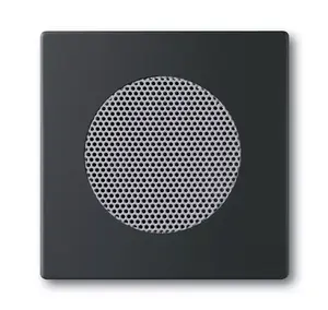 Sienas plāksne/slēdža rāmis Busch-Jaeger 8200-0-0126 — melns, parastais dizains, 63×63 mm