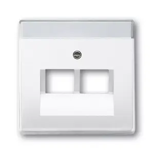 Wall plate / switch cover Busch-Jaeger 1710-0-3164 White 63×63 mm conventional