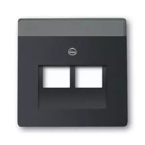 Wall plate / switch cover Busch-Jaeger 1710-0-3911, conventional design, black, 63×63 mm