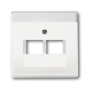 Wall plate / switch cover Busch-Jaeger 1710-0-3888, white, 63×63 mm, conventional design