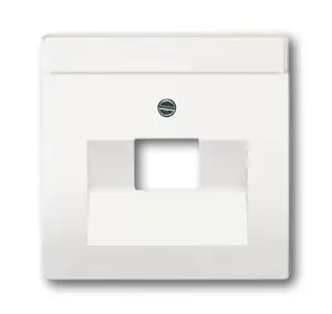 Busch-Jaeger 1710-0-3889 Wall Plate for UAE Connection Sockets White