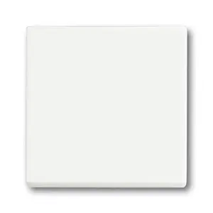 Gaismas slēdzis Busch-Jaeger 1751-0-3027 — plastmasa, balts, poga, 63×63 mm