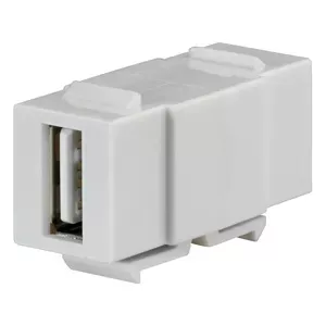 Keystone module Rutenbeck 17010651 Flat White USB A