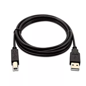 V7 V7USB2AB-02M-1E USB кабель 2 m USB 1.0 USB A USB B Черный