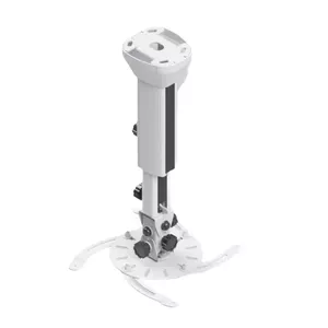 Ceiling Mount Edbak PMV100W