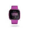 Fitbit FB415PMPM Photo 2