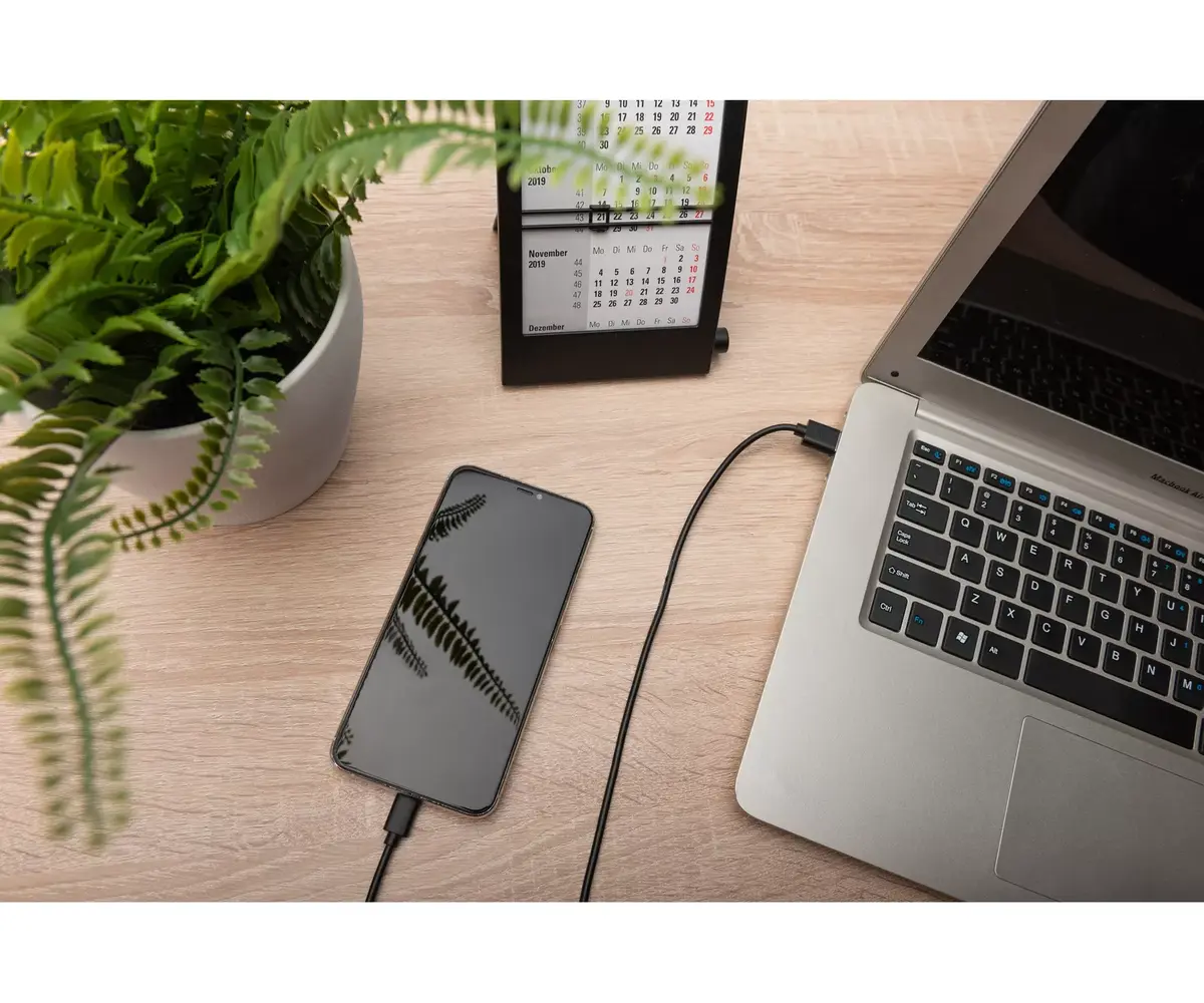 Кабель USB Type-C Digitus AK-300136-010-S Photo 2