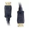 DisplayPort cable ICOC-DSP-A14-020 Photo 3