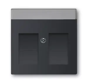 Busch-Jaeger 1710-0-3910 Wall Plate for Modular Jack, Screwless, Black