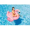 Peldēšanas pludiņš Intex 57558NP Photo 2