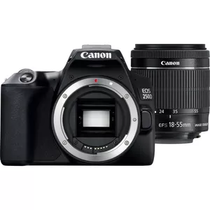 Canon EOS 250D + EF-S 18-55mm f/3.5-5.6 III SLR Camera Kit 24.1 MP CMOS 6000 x 4000 pixels Black