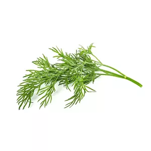 Click & Grow DILL PLANT PODS