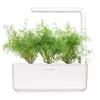 Refill Click & Grow Dill Plant Pods Photo 3