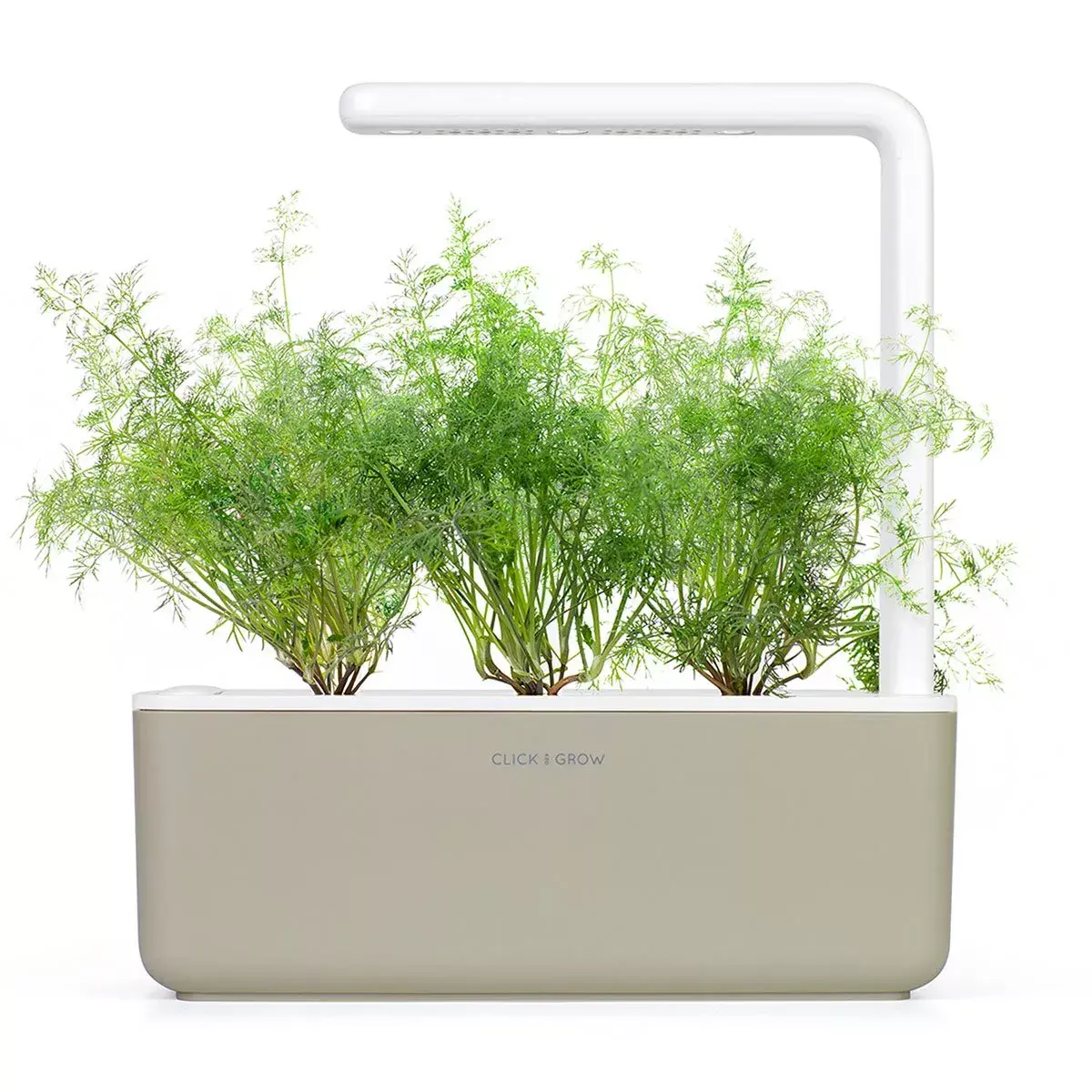 Refill Click & Grow Dill Plant Pods Photo 4