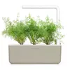 Refill Click & Grow Dill Plant Pods Photo 4