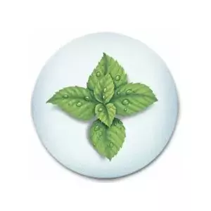 Vicks Vapopads