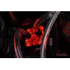 Cooling Block Alphacool Aurora XPX Photo 8