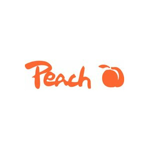 Peach PI200-250 ink cartridge 1 pc(s) High (XL) Yield Black