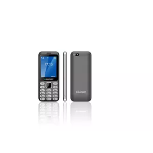 Blaupunkt FL 02 Кнопочный телефон моноблок Серый 2.8" 240 x 320 Dual SIM 2G 1.3 МП Камера 1000 мАч