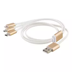 USB kabelis Deltaco USB-MULTI10 1m USB A USB C Zelta Balts