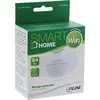 Motion Detector InLine Smart Home 40153 Photo 5