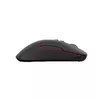 Mouse GENESIS Zircon 330 Photo 8