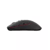 Mouse GENESIS Zircon 330 Photo 9