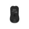 Mouse GENESIS Zircon 330 Photo 10