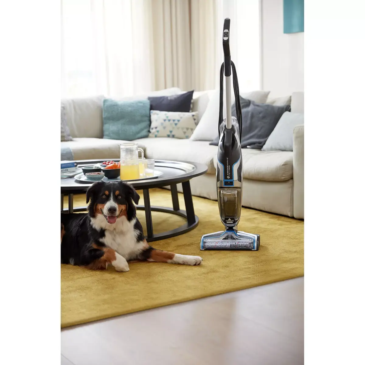 Putekļsūcējs Bissell CrossWave Pet Pro Photo 8