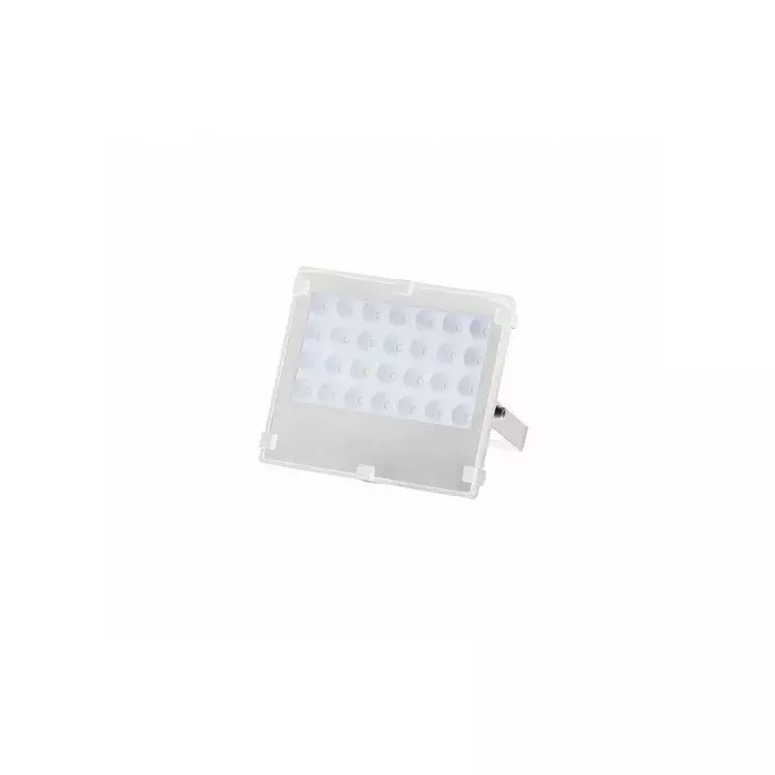 bousval-electrique LED-FL2-30 WS Photo 1