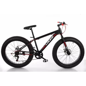 Louke Fat Bike