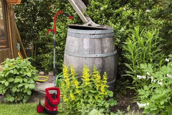 Насос Einhell GE-SP 3546 RB Photo 12