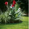 Garden edging strip Gardena 540-20 Photo 2