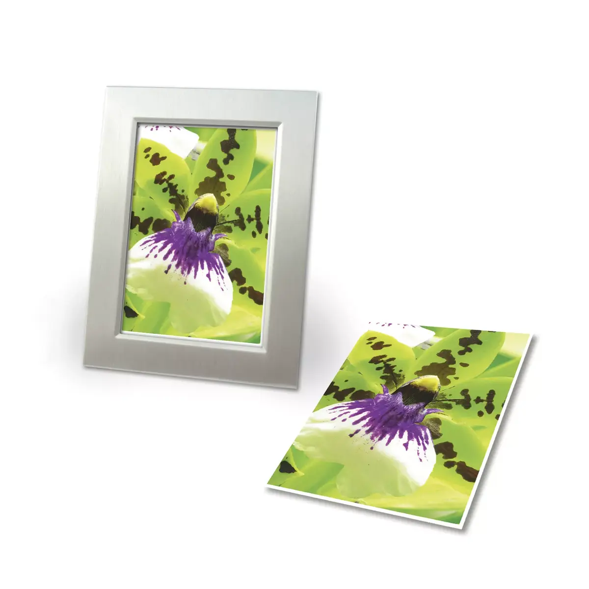 Tintes papīrs Avery Premium A4 250g Photo 2
