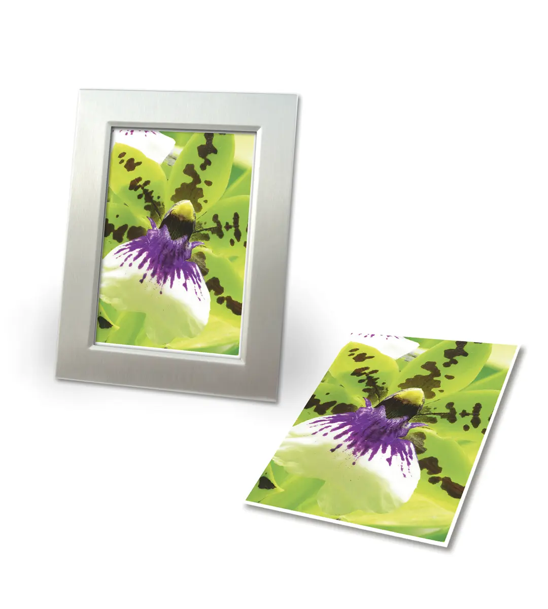 Бумага AVERY Premium Inkjet A4 250g 2559-20 Photo 2
